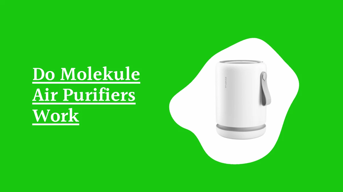 Do Molekule Air Purifiers Work