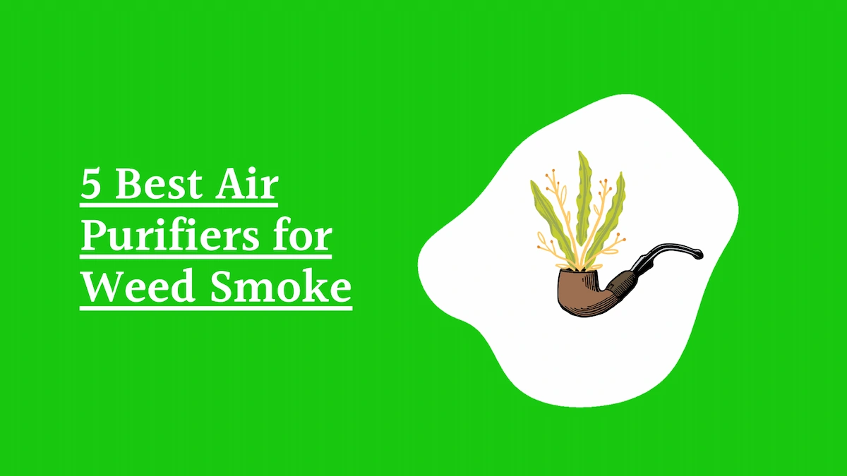 5 Best Air Purifiers for Weed Smoke