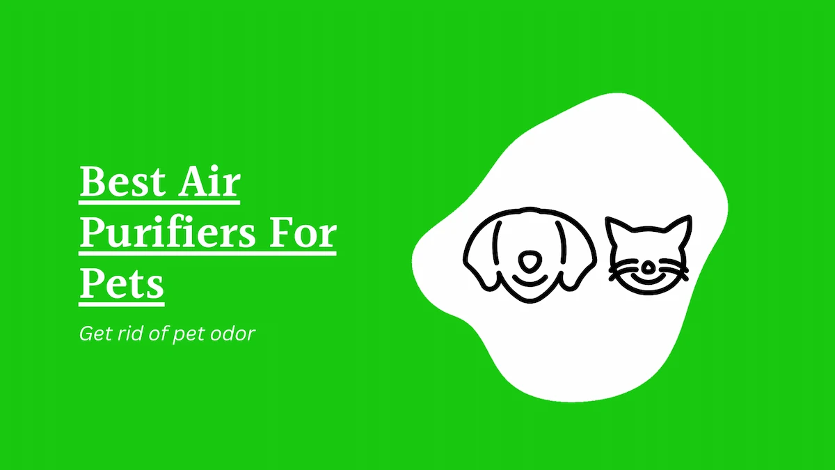 Best Air Purifiers For Pets - Get rid of pet odor